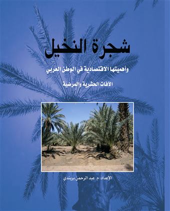 شجرة النخيل